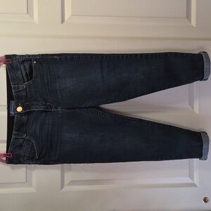 Democracy Dark Wash Skinny Jeans